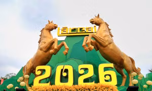 Ngắm cặp tượng song mã chào xuân ở Lào Cai