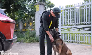 An ninh siết chặt tại điểm thi lại ở Tuyên Quang
