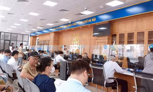 Sắp tới người dân có thể cung cấp thông tin, kiểm tra chủ sử dụng đất trên VNeID