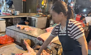 Hà Nội: Chủ trang trại tuồn lợn nhiễm dịch tả Châu Phi cho tiểu thương 