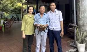 Thả về rừng cá thể rùa quý hiếm do người dân tự nguyện giao nộp