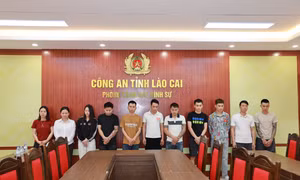 Khởi tố nhóm lừa đảo hàng trăm người bằng chiêu trò livestream ‘đổ thạch’