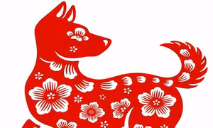 Tử vi tuổi Tuất 2026: Cơ hội kiếm tiền khủng