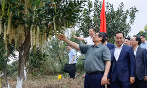Thủ tướng Phạm Minh Chính thăm và làm việc tại Điện Biên