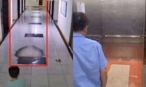 Vụ thi ném dép trúng van nước chung cư khiến 2 thang máy bị tê liệt: 'Con tôi lo sợ không dám ngủ'