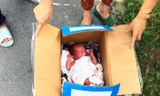 Bé sơ sinh bị bỏ rơi trong thùng giấy sau khi đôi nam nữ cãi nhau