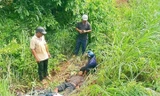 Tìm thấy nạn nhân mất tích 4 ngày nguy kịch trong bụi cây