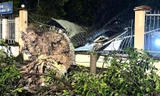 Mưa dông lớn, cây đổ la liệt đè bẹp xe máy ở TPHCM