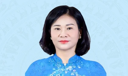 Quá trình công tác của Phó Bí thư Đảng ủy Chính phủ Nguyễn Thị Tuyến