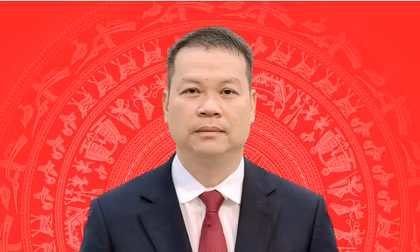 Chân dung tân Chủ tịch UBND TP. Đà Nẵng Nguyễn Mạnh Hùng