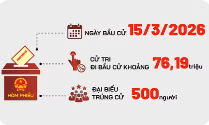 Toàn cảnh cơ cấu 500 đại biểu Quốc hội khóa XVI
