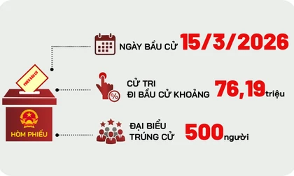 Toàn cảnh cơ cấu 500 đại biểu Quốc hội khóa XVI