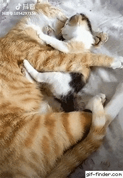 Một khoảnh khắc đẹp về tình mẫu tử.