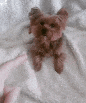 Đỉnh cao của “diễn sâu”.