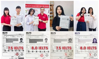 Minh chứng đanh thép nhất cho chất lượng chính là kết quả của học viên tại LangGo.