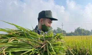 Đổi tên Trường Đại học Kỹ thuật - Hậu cần Công an nhân dân 