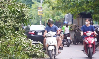 Đại học gấp rút chuyển sang học trực tuyến để phòng tránh bão số 3