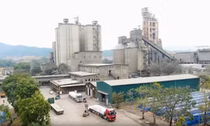 Dự án nhà máy Xi măng Hoàng Mai có hồ sơ điều chỉnh giấy phép khai thác mỏ đã được thực hiện từ năm 2012 nhưng đến nay vẫn chưa hoàn tất 