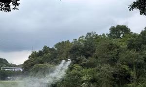 Drone phục vụ tưới nước, bón phân, thăm đồng ở Quảng Đông, Trung QuốcẢnh: Phan Huyền