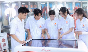 Sinh viên ngành Y khoa, Trường ĐH Đại NamẢnh: NTCC