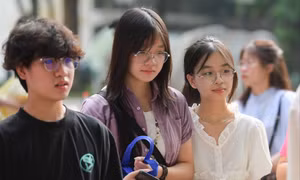 Tuyển sinh ĐH 2025: Lộ diện nhóm ngành có sức hút lớn