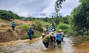 Học sinh hân hoan dự lễ khai giảng 