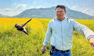 Đội phản ứng nhanh của Công ty Yến sào Khánh Hòa tuần tra, ngăn chặn nạn đánh bắt yến trái phép