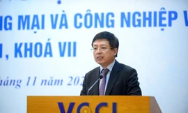 Ông Hồ Sỹ Hùng được bầu làm Chủ tịch VCCI