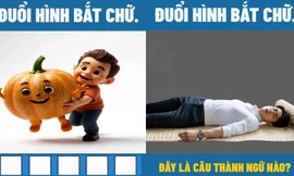 Trào lưu "đuổi hình bắt chữ" gây sốt TikTok, trả lời càng sai càng nhiều "tim"