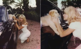 Tinh tế như Sabrina Carpenter: Dành tặng fan món quà bất ngờ dịp lễ Giáng sinh