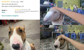 "Cậu Vàng" quán anh Hai ngoài đời là "nữ nhi", cũng trông tiệm nhưng không bán phở