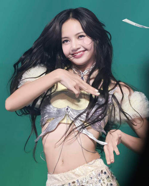 Nhiều khán giả nêu quan điểm, Lisa đã và đang làm là không hề phạm pháp nhưng chính cô cũng sẽ phải chịu mọi trách nhiệm cho quyết định của mình. Ảnh: Twitter.