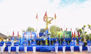 Tuổi trẻ Gia Lai tổ chức ra quân Tháng Thanh niên 2026, phát động Tết trồng cây