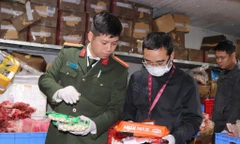 Phát hiện lượng lớn thịt lợn, nội tạng nhiễm dịch tả lợn châu Phi