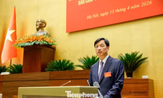 Trung ương cho phép địa phương thí điểm một số mô hình tổ chức, cách làm mới trong khuôn khổ Điều lệ Đảng