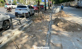 Hà Nội: 'Khoét' vỉa hè lát đá tự nhiên để lấy chỗ trồng cây hoa, thảm cỏ