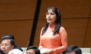 Đại biểu Quốc hội lo ngại trẻ em ‘chìm trong thế giới ảo với tổng tài bá đạo’