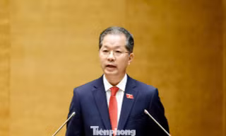 Chánh án TAND Tối cao: Áp dụng pháp luật thống nhất, không để xảy ra oan sai, bỏ lọt tội phạm