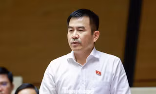 Từ hiện tượng giang hồ mạng, đại biểu Quốc hội đặt câu hỏi về trách nhiệm