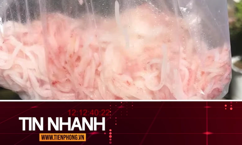 TIN NHANH: Xác định nguyên nhân vụ bún màu đỏ