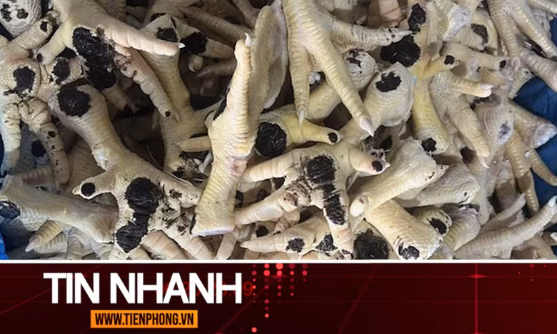 TIN NHANH: Kinh hoàng nguồn gốc và đường đi của hàng chục nghìn tấn chân gà đông lạnh nhập lậu