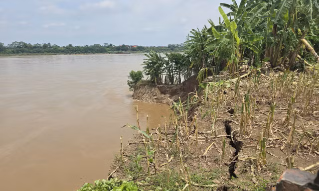 đường bê tông ngõ xóm, tường rào bị nứt.