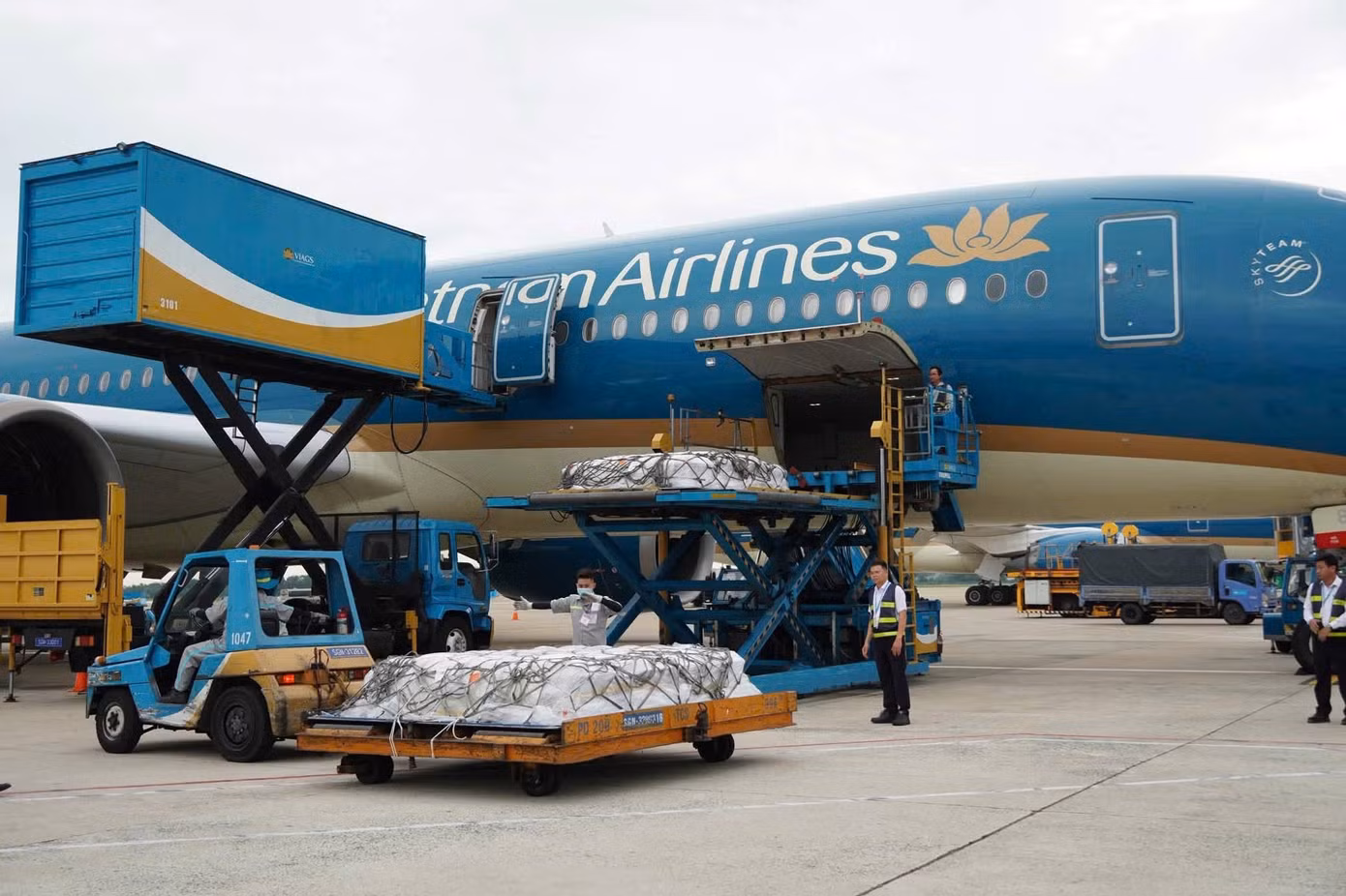 gen-h-z8039226428895-b592e59634adc5a817174e26b7f0b6e8.jpg