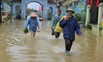 Mưa bão khiến 7.085 ha lúa và rau màu bị ngập, hàng nghìn hộ dân bị ảnh hưởng