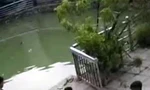 Hai anh em ruột tử vong thương tâm dưới giếng nước gần khu trọ ở Hà Nội