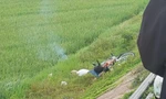 Phát hiện thi thể người đàn ông cạnh xe máy bên bờ ruộng