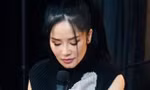 Diva Hồng Nhung: ‘Hoãn show kiểu này chắc trên đời mới có một’