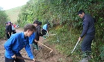 Thanh niên Sa Pa 100 ngày đêm chỉnh trang ngõ, xóm