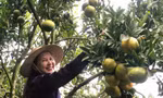 Người dân vùng biên thoát nghèo nhờ chuyển đổi mô hình sản xuất