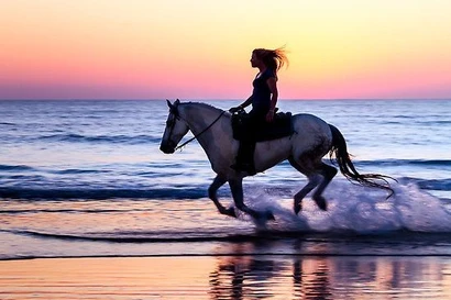 Bốn con giáp cực may mắn trong năm Bính Ngọ 2026